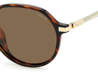 Polaroid PLD 4149/G/S/X women Havana Squared Sunglasses