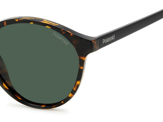 Polaroid PLD 4153/S men Havana Pantos Sunglasses