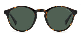 Polaroid PLD 4153/S men Havana Pantos Sunglasses