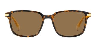 Polaroid PLD 4169/G/S/X men Havana Squared Sunglasses