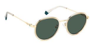 Polaroid PLD 4173/G/S/X unisex 0 Sunglasses