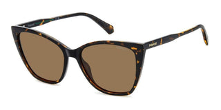 Polaroid Pld 4181/s Women Havana Butterfly Sunglasses