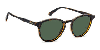 Polaroid PLD 4191/S men Havana Pantos Sunglasses