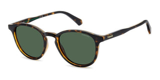 Polaroid PLD 4191/S men Havana Pantos Sunglasses