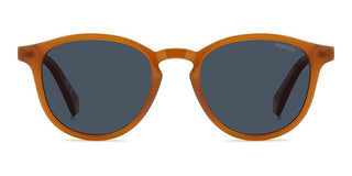 Polaroid PLD 4191/S men Brown Pantos Sunglasses