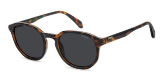 Polaroid Pld 4195/s Men Havana Squared Sunglasses