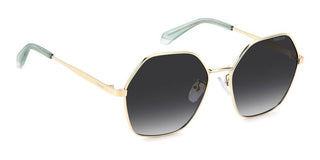 Polaroid PLD 4205/G/S/X women 0 Geometric Sunglasses