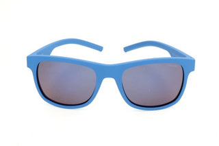 Polaroid Pld 6015/s Unisex Blue Geometric Sunglasses