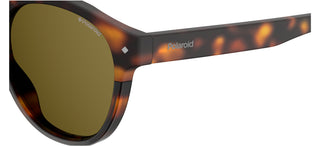 Polaroid PLD 6042/S unisex Havana Round Sunglasses