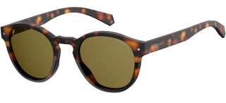 Polaroid PLD 6042/S unisex Havana Round Sunglasses