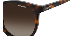 Polaroid PLD 6098/S unisex Havana Round Sunglasses