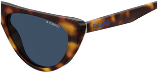 Polaroid PLD 6108/S women Havana Cat Eye Sunglasses