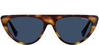 Polaroid PLD 6108/S women Havana Cat Eye Sunglasses