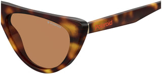 Polaroid PLD 6108/S women Havana Cat Eye Sunglasses