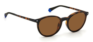 Polaroid PLD 6137/CS unisex Havana Pantos Sunglasses