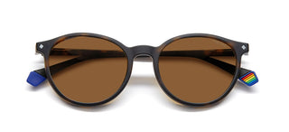 Polaroid PLD 6137/CS unisex Havana Pantos Sunglasses