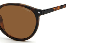 Polaroid PLD 6137/CS unisex Havana Pantos Sunglasses