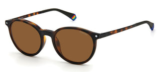 Polaroid PLD 6137/CS unisex Havana Pantos Sunglasses