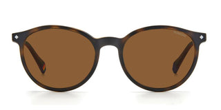 Polaroid PLD 6137/CS unisex Havana Pantos Sunglasses