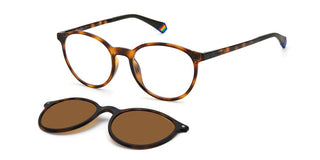 Polaroid PLD 6137/CS unisex Havana Pantos Sunglasses