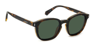 Polaroid PLD 6203/CS unisex Havana Sunglasses