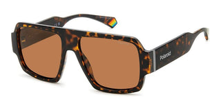 Polaroid PLD 6209/S/X unisex Havana Geometric Sunglasses