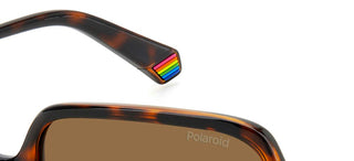 Polaroid PLD 6219/S women Havana Oversize Sunglasses