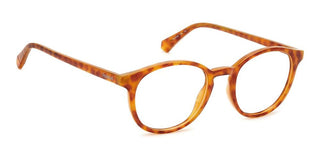 Polaroid PLD D498 unisex Havana Geometric Eyeglasses
