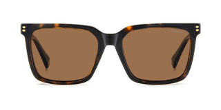 Polaroid PLD D556/C unisex Havana Rectangle Sunglasses