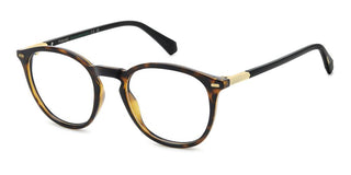Polaroid PLD D562 men Havana Rectangle Eyeglasses