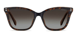 Polaroid PLD D603/C women Havana Cat Eye Sunglasses