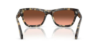 Persol Po 0091s Unisex Havana Squared Sunglasses