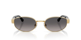 Persol PO 1024S unisex Gold Oval Sunglasses