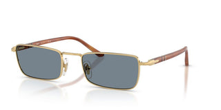 Persol PO 1025S unisex Gold Rectangle Sunglasses