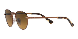 Persol PO 2491S unisex Brown Round Sunglasses