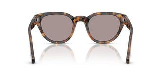 Persol Po 3379s Unisex Havana  Sunglasses