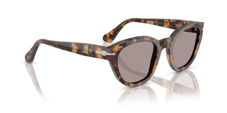 Persol Po 3379s Unisex Havana  Sunglasses