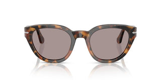 Persol Po 3379s Unisex Havana  Sunglasses