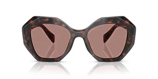 Prada PRADA PR 16WS women Brown Butterfly Sunglasses