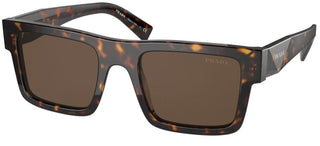 Prada PRADA PR 19WS men Havana Geometric Sunglasses