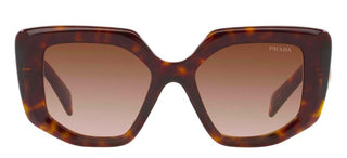 Prada PR 14ZS women Havana Geometric Sunglasses