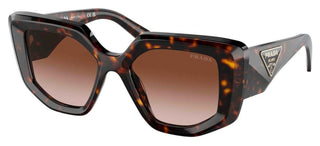 Prada PR 14ZS women Havana Geometric Sunglasses