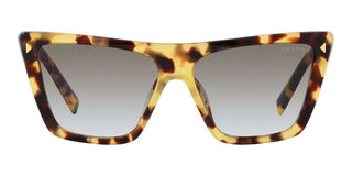 Prada PR 21ZS women Havana Butterfly Sunglasses