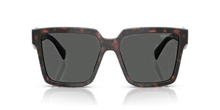 Prada PR 24ZS women Brown Visor Sunglasses