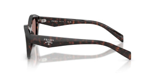 Prada Pr A02s Women Havana Butterfly Sunglasses