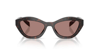 Prada Pr A02s Women Havana Butterfly Sunglasses
