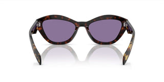 Prada PR A02S women Havana Butterfly Sunglasses