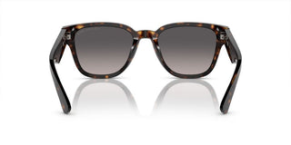 Prada Pr A04s Men Silver Pantos Sunglasses