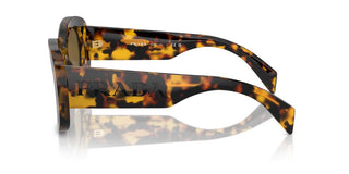 Prada Pr A13s Women Havana Butterfly Sunglasses