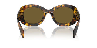 Prada Pr A13s Women Havana Butterfly Sunglasses